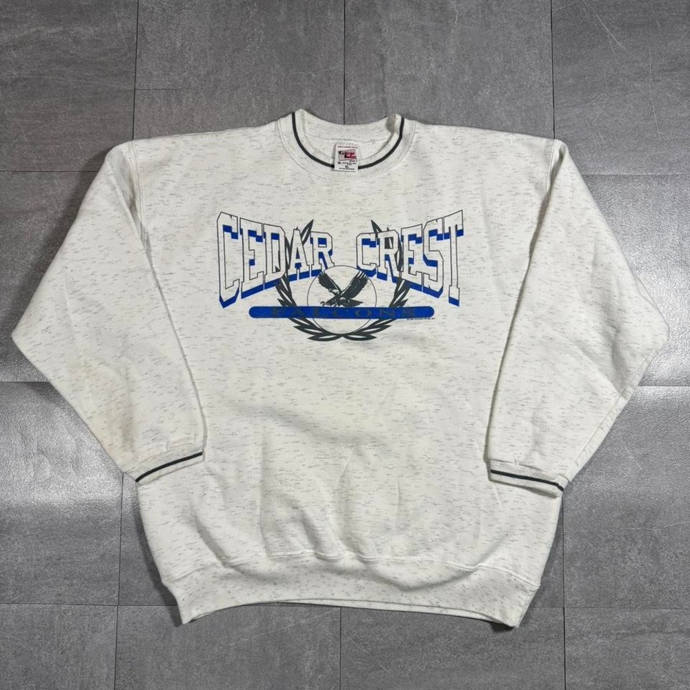 90s Cedar Crest Falcons Sweatshirt